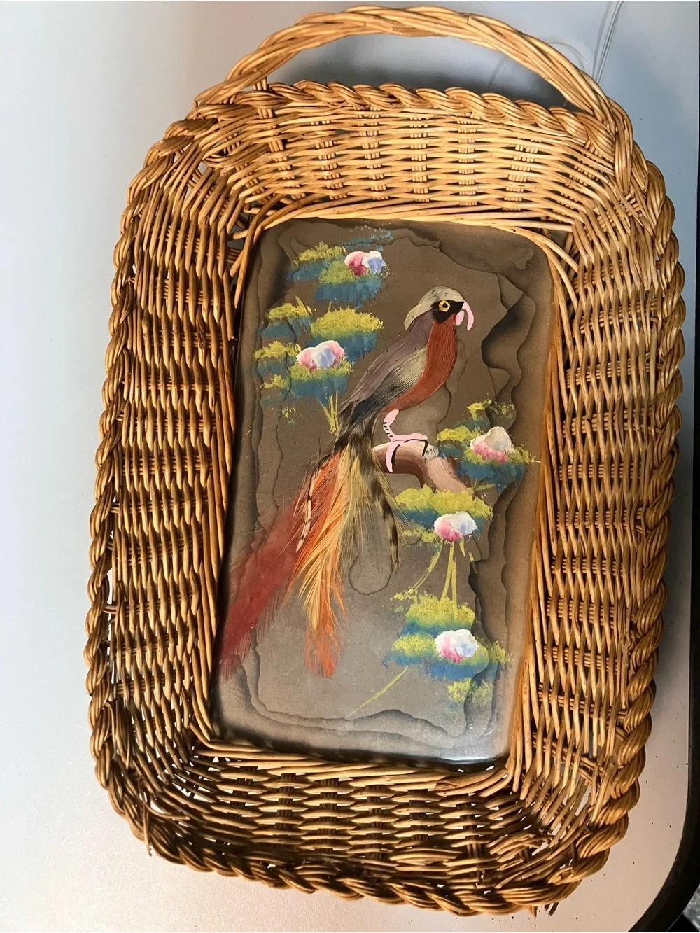 Decorative Brown Bird Perch Cushion with Hand-Painted Parrot Accent